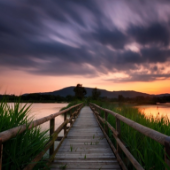 Images